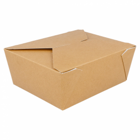 Takeaway Boxes medium pack 50